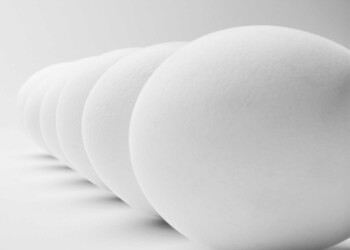 eggs